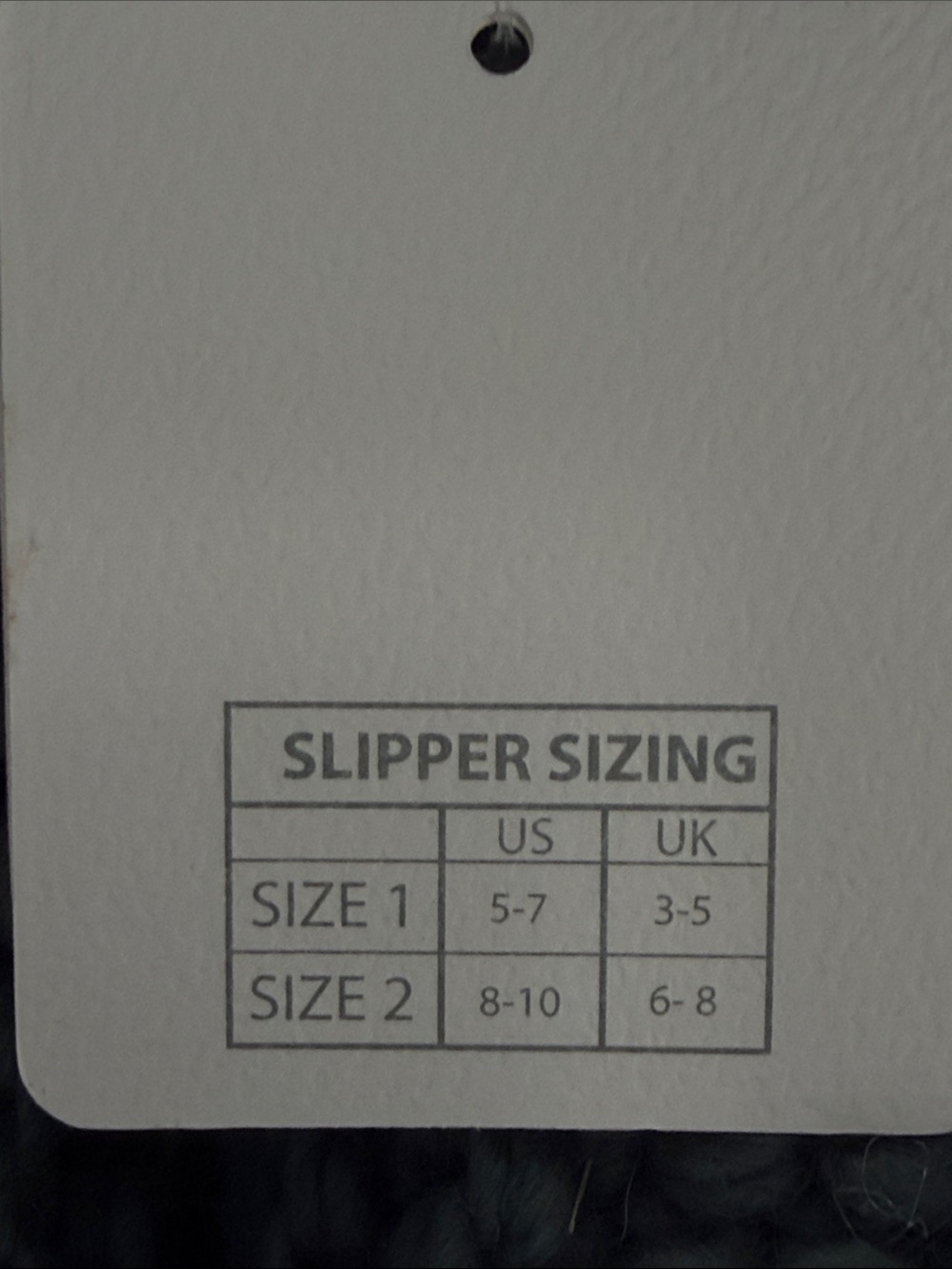 Lemon Slippers (NWT) - Picture 3 of 6